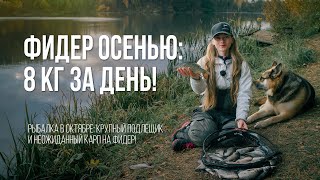 видео: Фидер осенью: 8 кг подлещика за день! Секреты ловли в холодной воде картинка: Фидер осенью: 8 кг подлещика за день! Секреты ловли в холодной воде
