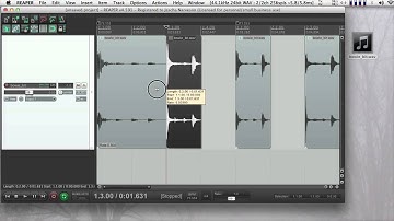 Reaper - drum loop editing (with a tempo grid)
