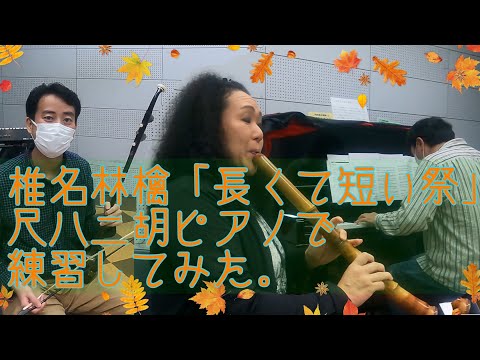 椎名林檎「長くて短い祭り」を尺八，二胡，ピアノで練習してみた
