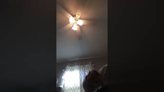 IMG 6816