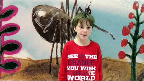 Anansi and the Magic Stick