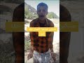 صرعوا حماره عين