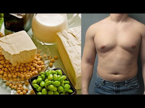 Does Soya protein increase Estrogen level ?(क्या सोया प्रोटीन एस्ट्रोजेन स्तर बढ़ाता है?) in