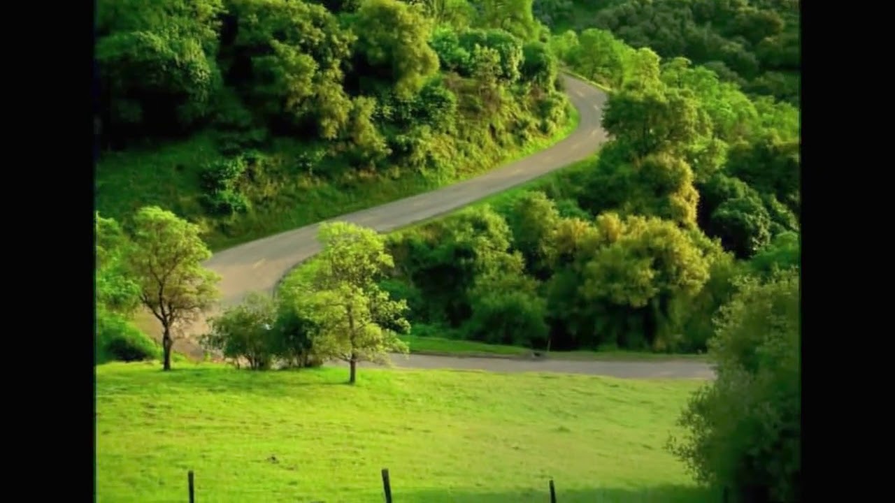 Scary Jumpscare coffee commercial The Car (Kfee coffee and energy