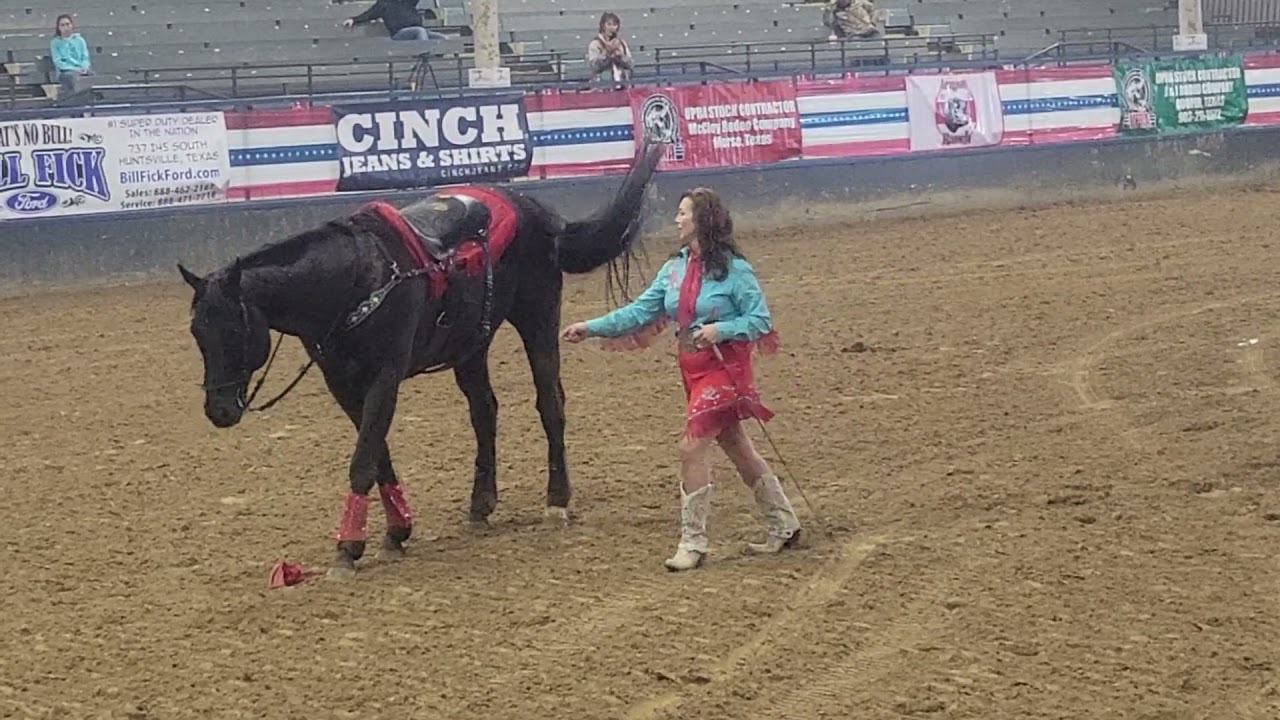 Liberty horse Act YouTube