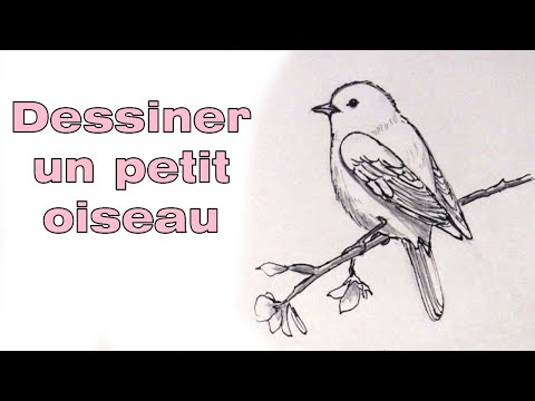 Vidéo: Comment Dessiner Une Branche