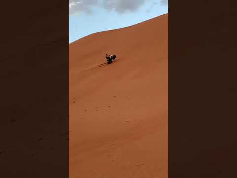 بدية سلطنة عمان