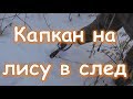 Эффективный способ установки капкана на лису в след