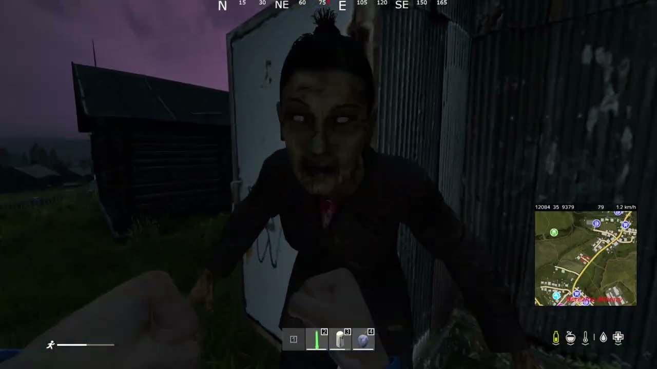 DayZ.Неплохой сервер Bizon.