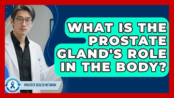 What Is The Prostate Gland