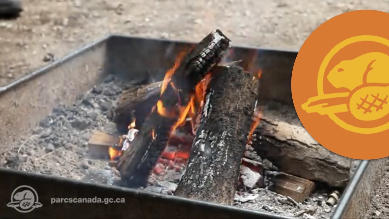 Pack De 12 Allume-feu Naturels En Bois - Idéal Pour Cheminée, Poêle, Barbecue Et Campement