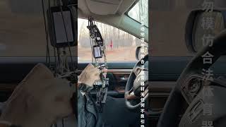 Hunting in the car🎯 #huntinggames #huntinggear #compoundbow #archerygame #slingshothunting #fypreels