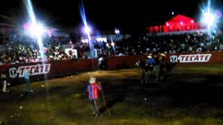 Bull riding it's my dad