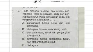 pada manusia terdapat dua proses pernapasan,yaitu pernapasan dada dan pernapasan perut pada pernapas screenshot 2
