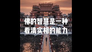 201804 佛的智慧是一种看清实相的能力20838
