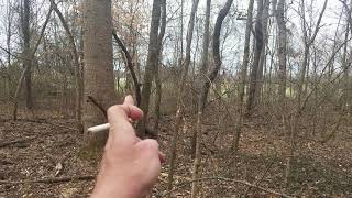 Rabbitdogs.net 2019 Rabbit Hunt 2-3-2019