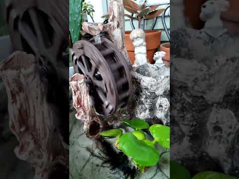 작은 물레방아 The Small Waterwheel