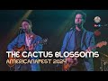 The Cactus Blossoms - "Powder Blue" (Live at AmericanaFest 2024)