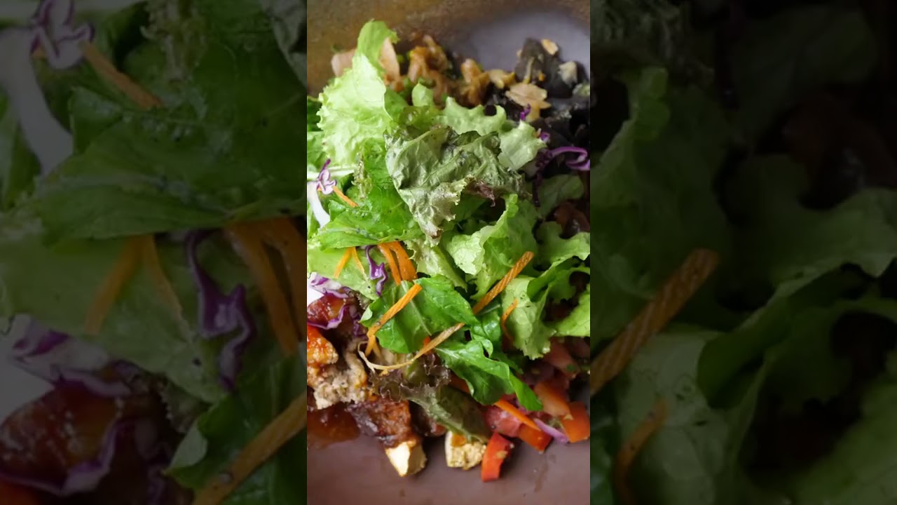How To Use a Salad Shooter, Superb 9 Steps To Do It