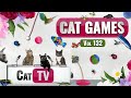CAT Games Ultimate Cat TV Compilation Vol 132 8 HOURS ЁЯРЭЁЯРЮЁЯжЛЁЯжОЁЯжЬЁЯРЬЁЯРнЁЯз CAT Games Ultimate Cat TV Compilation Vol 132 8 HOURS ЁЯРЭЁЯРЮЁЯжЛЁЯжОЁЯжЬЁЯРЬЁЯРнЁЯз