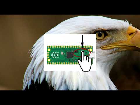 Restore a Raspberry Pi Pico to defaults