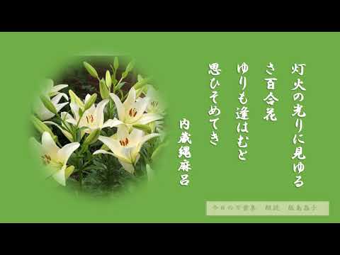 【今日の万葉集】6月18日　友人の庭に咲いたというサユリ！万葉の時代から人々愛でられてきた花の一つ。何か私たちに話しかけてくるように咲いています。「灯の光に見ゆるさ百合花　ゆりも逢はむと思い染めてき」