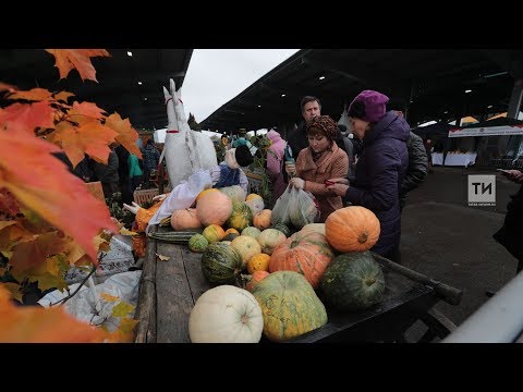Пресс-конференция об осенних сельскохозяйственных ярмарках