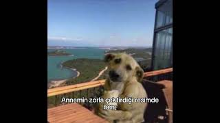 Anne Çekme Anneee Şfetbeniöneçıkar