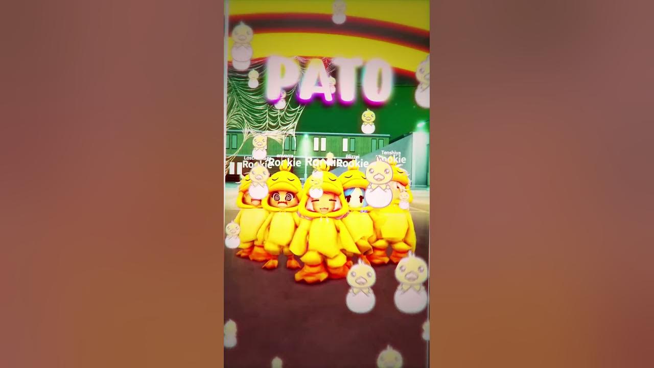 PATOO🦆