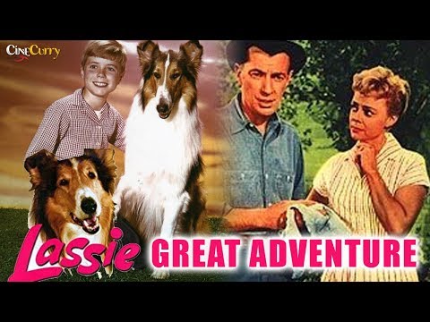 Lassie's Great Adventure (1963) | Family Drama Movie | June Lockhart, Hugh Reilly