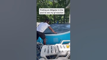 Dad Puts Alligator in Pool to see Moms Reaction #shorts