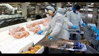 Agrosuper Uso De Cobre En Planta Procesadora De Alimentos