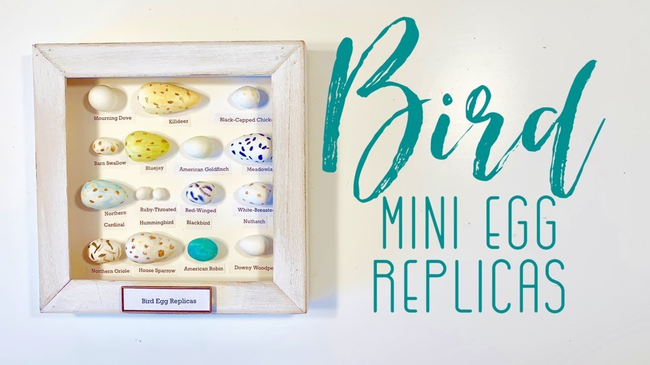 How to Make Bird Egg Replica | Mini and True to Size