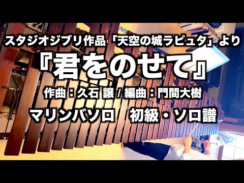 君をのせて（天空の城ラピュタ）｜マリンバソロ 初級（Am）〈メロディ譜＋1台で奏でるソロ譜〉 - 久石譲(井上 あずみ)