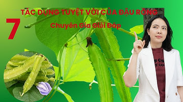 7 tác dụng tuyệt vời của đậu rồng được chuyên gia giải đáp | Đỗ Ngọc Diệp
