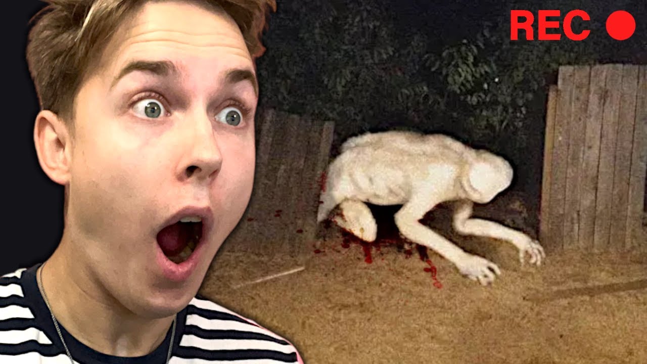 Jeg Må IKKE Blive Skræmt...