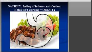 Obesity Treatment in Canada 2 0