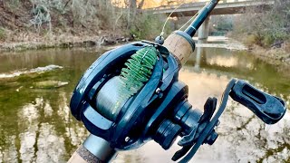 New Creek, BELLOWS GILL, FUN! |Fort Worth BFS Angling|