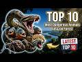 Top 10 Most Dangerous Animals of the Amazon Forest
