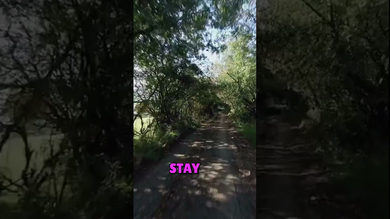 Куда ведет этот таинственный след?