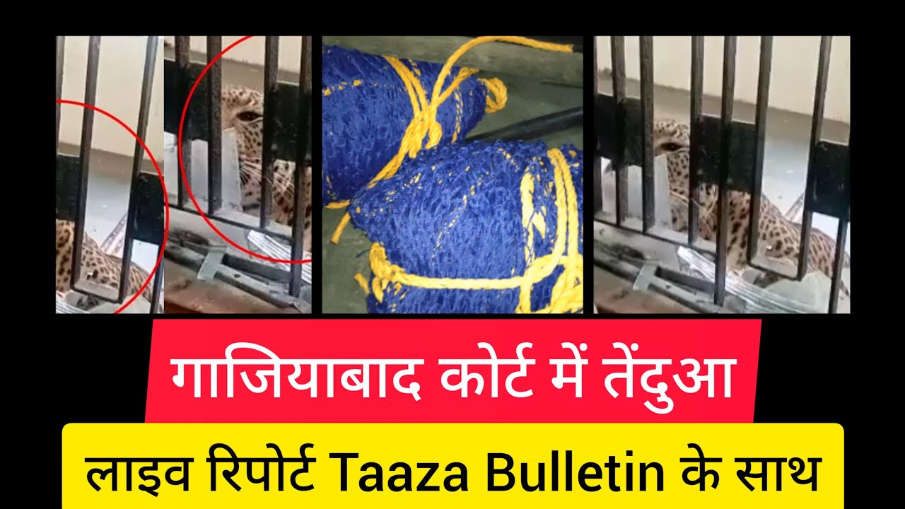 Ghaziabad Court परिसरमे घुसा तेंदुआ Ghaziabad Court Live YouTube