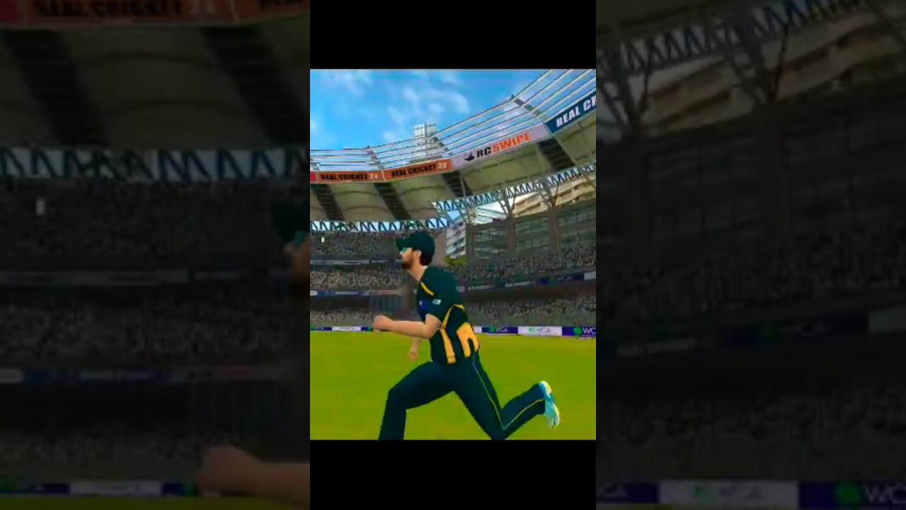 Superb catch by aus fielder 