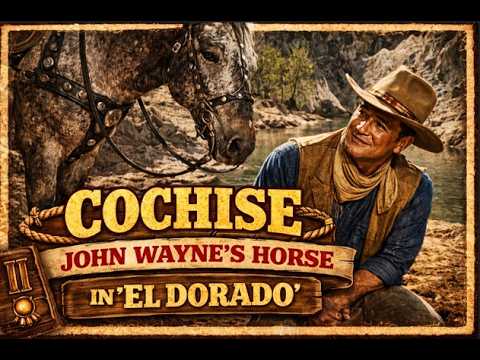 Zip Cochise The Story of John Wayne’s Legendary Horse in El Dorado
