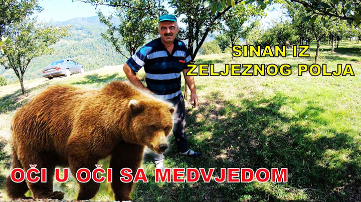 KAKO SE SINAN IZ ŽELJEZNOG POLJA  BORIO 3 SATA SA MEDVJEDOM