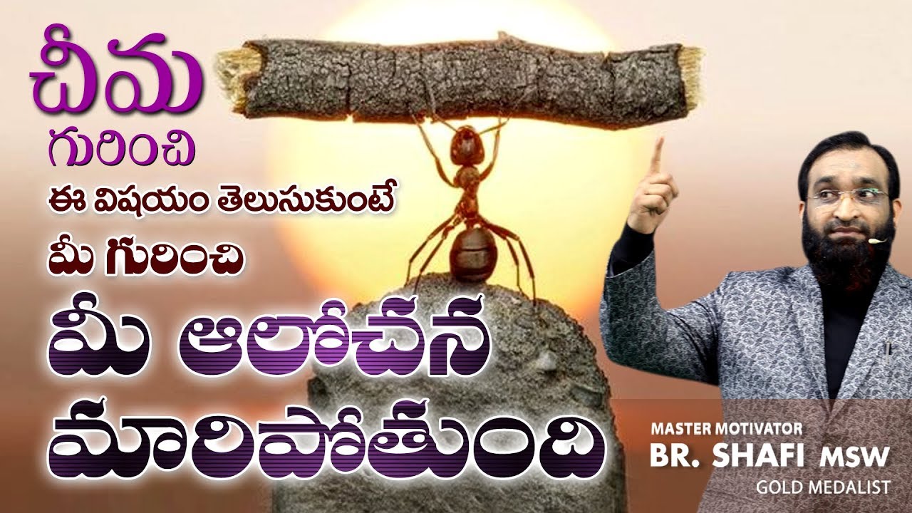 Ant Story An Excellent Motivational Speech - YouTube