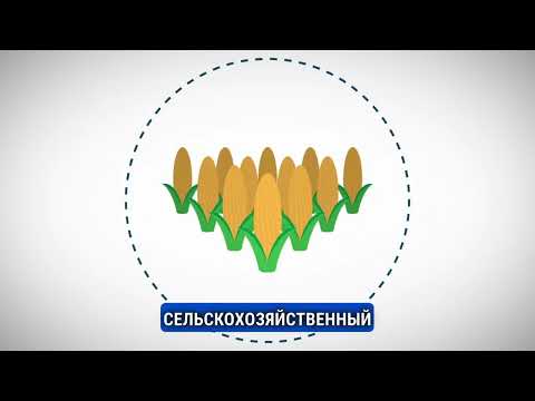 Что такое фьючерсный контракт?