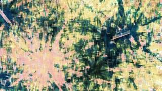 How to draw a dragon [deep dream with TensorFlow and openFrameworks]