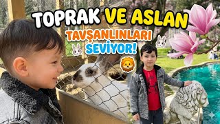 Tavşan Köşkünde Çok eğlendik