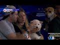 Jealous dog caught drooling over other dog’s hot dog at loanDepot Park