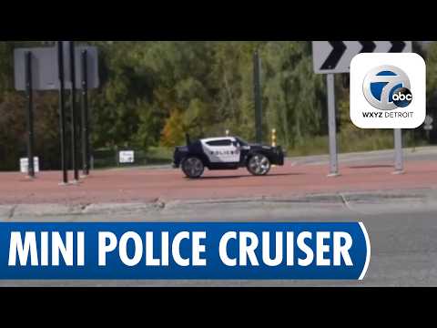 A toy police car in South Lyon is actually slowing down real drivers